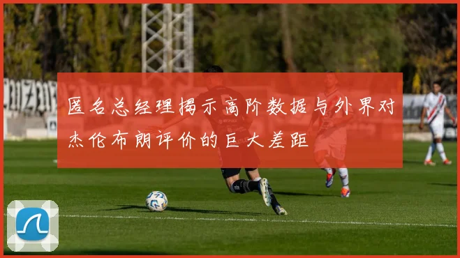 匿名总经理揭示高阶数据与外界对杰伦布朗评价的巨大差距