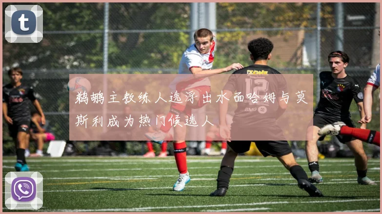 鹈鹕主教练人选浮出水面哈姆与莫斯利成为热门候选人